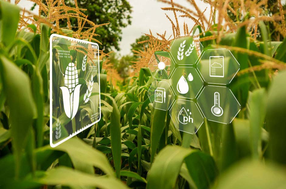 Tech talents in data science and sustainable technology