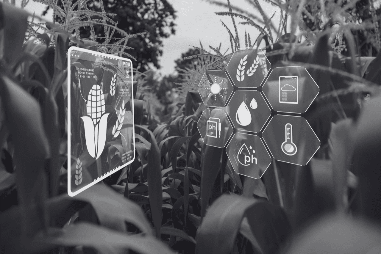 Agriculture & Food Systems